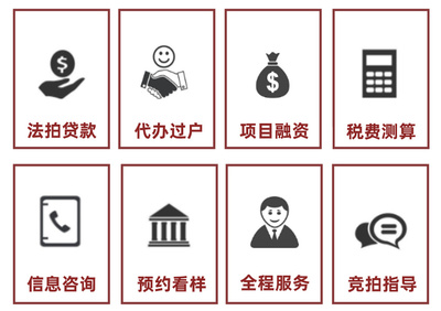 网络司法拍卖预告 2021年1月11日融资咨询服务专场解析